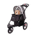 A Dog in Turbo Pet Jogger