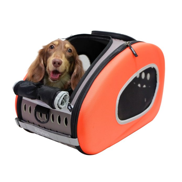 a happy dog in orange color eva pet stroller 