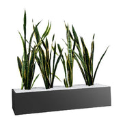 Statewide 1200mm Wide Planter Boxes – to suit Tambours or Standalone Black Ripple