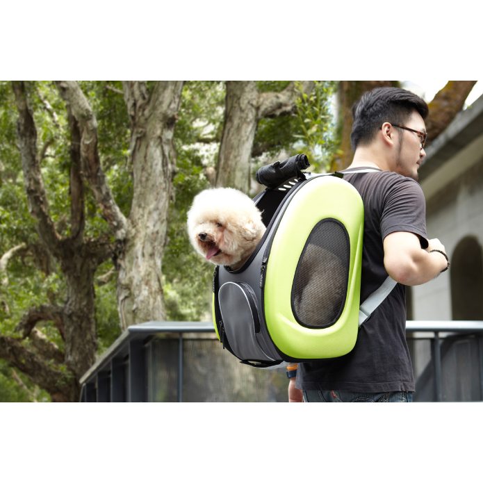 A man and a dog with Ibiyaya 5-In-1 Combo Eva Pet Carrier/Stroller     