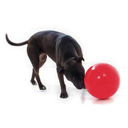 Aussie Dog Enduro Ball Large 240mm