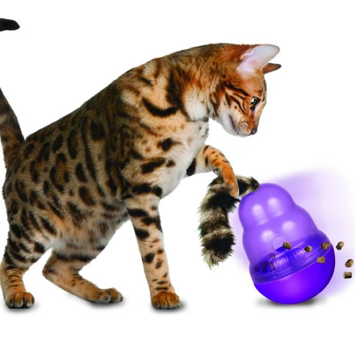 cat playing with kong cat wobbler