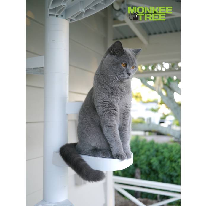 Monkee Tree - The Scalable Cat Climbing Ladder 18 Trunk Starter Pack