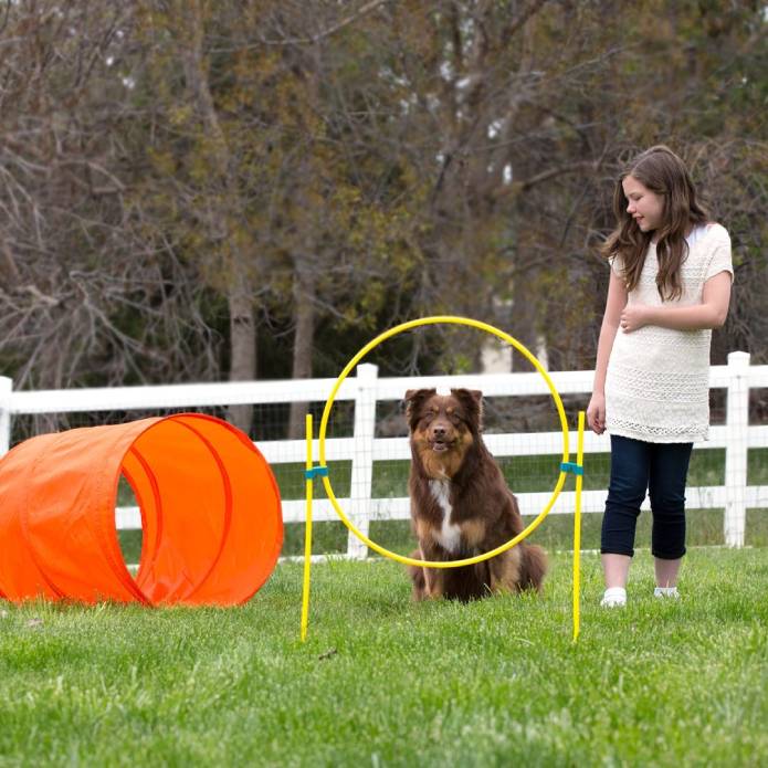 Zip Zoom Agility Kit Outdoor by Outward Hound