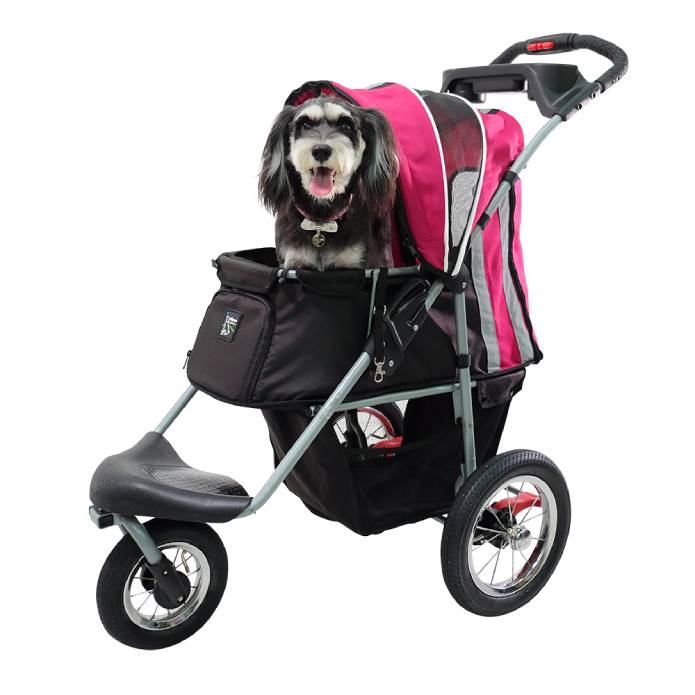 A Dog in Turbo Pet Jogger Black Pink