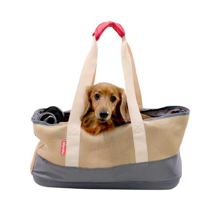 A Happy Dog in Ibiyaya Light Pet Carrier with Hardshell Base for Dachshunds & Long Pets - Khaki