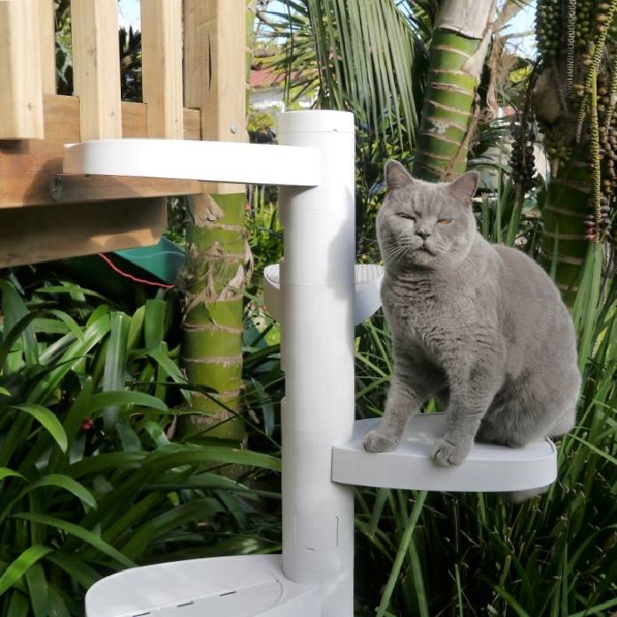 Monkee Tree - The Scalable Cat Climbing Ladder - 2 Step Kit