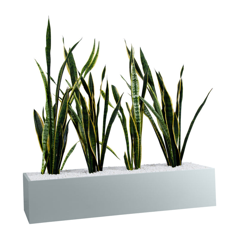 Statewide 1000mm Wide Planter Boxes – to suit Tambours or Standalone Light Grey