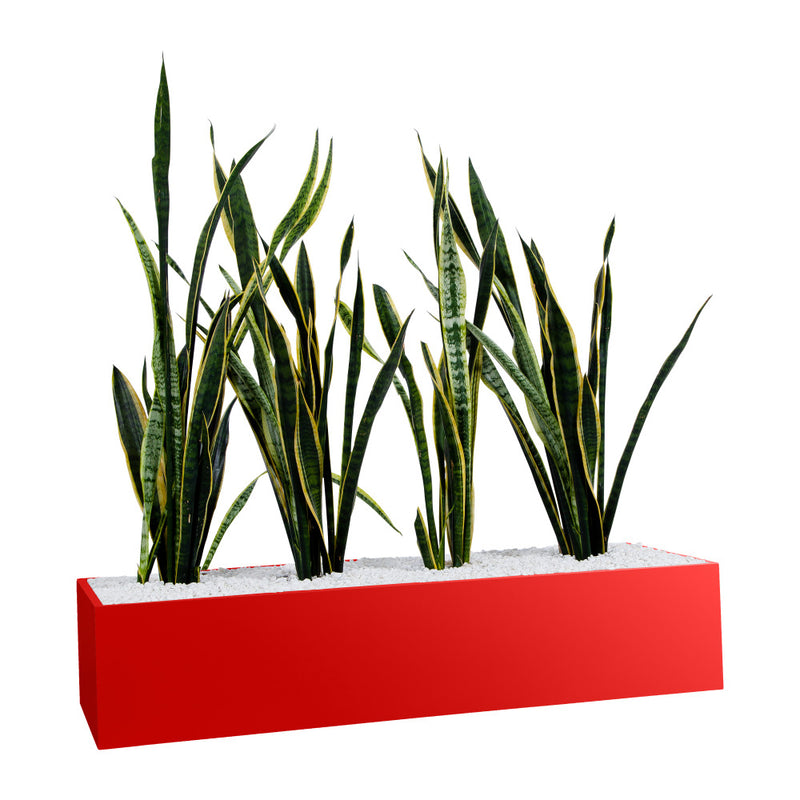 Statewide 1000mm Wide Planter Boxes – to suit Tambours or Standalone Signal Red