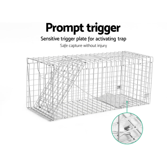 Humane Animal Trap Cage - Silver
