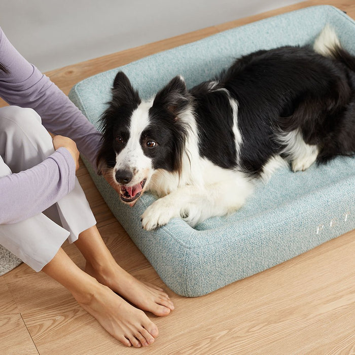 PETKIT Four Season Sleep Bed