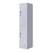 Standard Lock 2-Door Vertical Locker for Office Gym Shed School Home Storage Grey