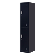 Standard Lock 2-Door Vertical Locker for Office Gym Shed School Home Storage Black