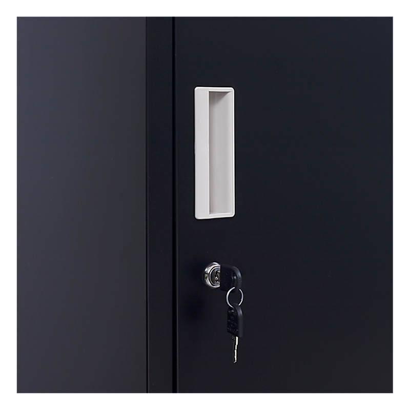 Standard Lock 2-Door Vertical Locker for Office Gym Shed School Home Storage