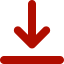 Download Icon